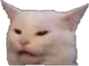 jalocat.png