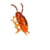 image0-6.gif